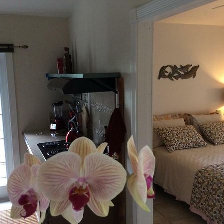 Mediteranean Style Ohana Rental / Garden Bungalow In Pahoa Honolulu Landing Dış mekan fotoğraf