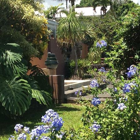 Mediteranean Style Ohana Rental / Garden Bungalow In Pahoa Honolulu Landing Dış mekan fotoğraf