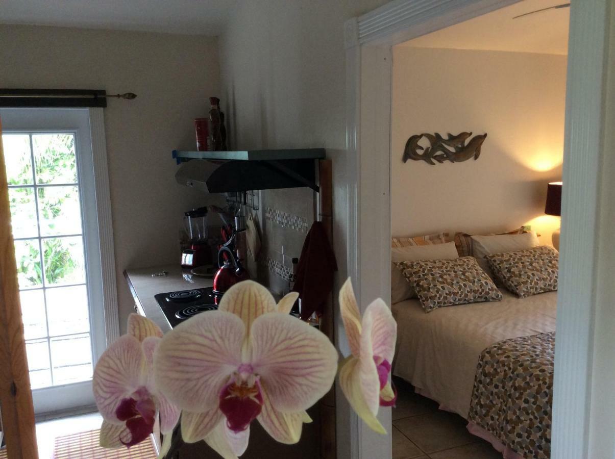 Mediteranean Style Ohana Rental / Garden Bungalow In Pahoa Honolulu Landing Dış mekan fotoğraf