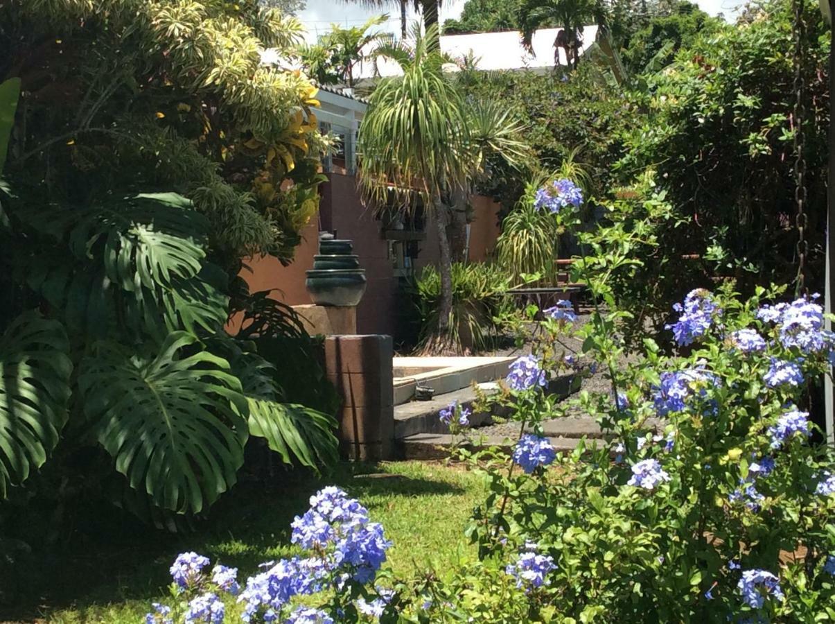 Mediteranean Style Ohana Rental / Garden Bungalow In Pahoa Honolulu Landing Dış mekan fotoğraf