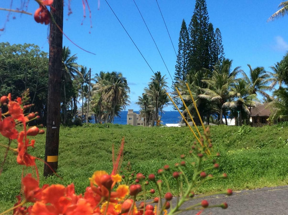 Mediteranean Style Ohana Rental / Garden Bungalow In Pahoa Honolulu Landing Dış mekan fotoğraf